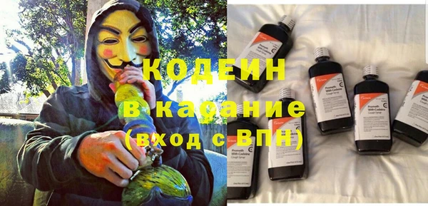 стаф Гусь-Хрустальный