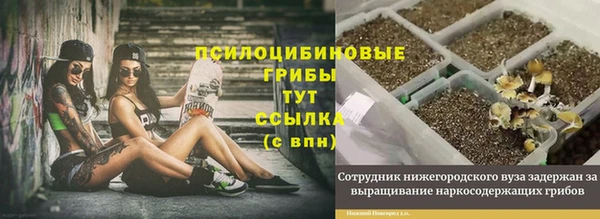 стафф Гусиноозёрск
