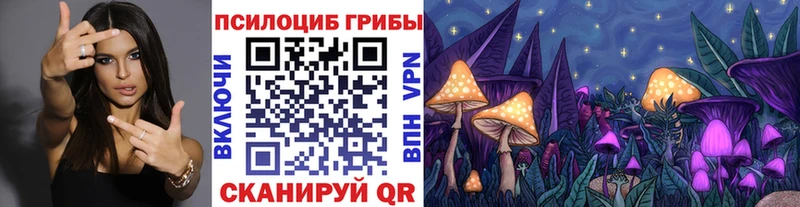 Галлюциногенные грибы Magic Shrooms Оха