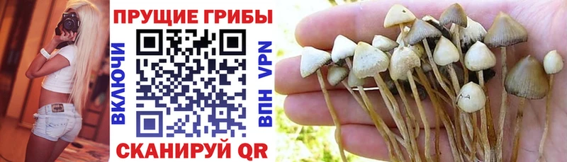 Псилоцибиновые грибы MAGIC MUSHROOMS  Оха 