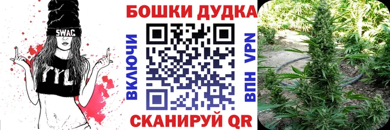 закладки  Оха  Бошки Шишки Amnesia 